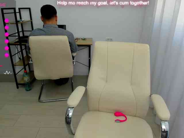 EveeEvian webcam