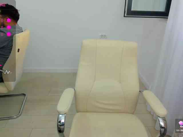EveeEvian webcam