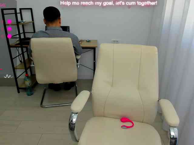EveeEvian webcam
