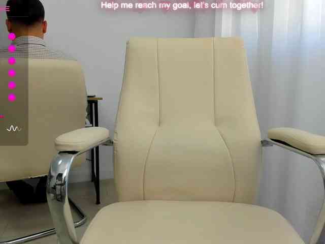EveeEvian webcam