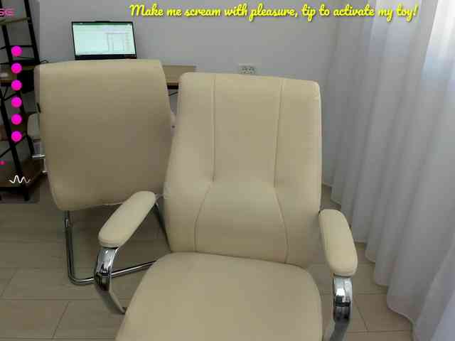 EveeEvian webcam