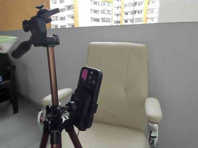 EveeEvian EveeEvian