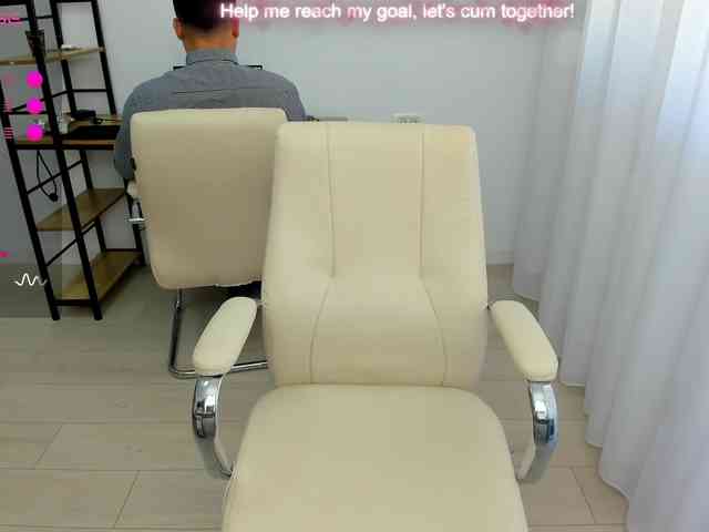 EveeEvian webcam