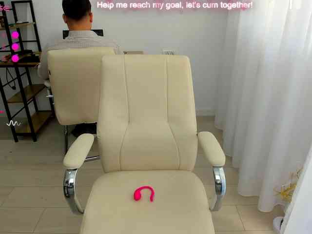 EveeEvian webcam