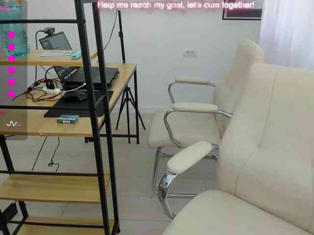 EveeEvian webcam