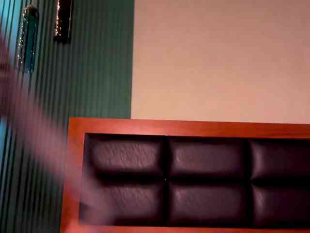 UA7777UA webcam