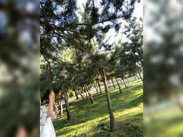 Модель: UA7777UA