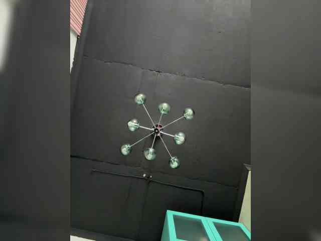 UA777777777 webcam