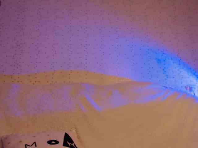 -MAlVINKA- webcam