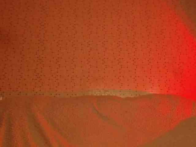 -MAlVINKA- webcam