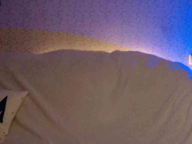 -MAlVINKA- webcam