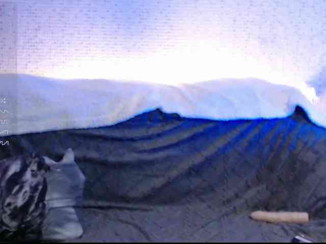 -MAlVINKA- webcam