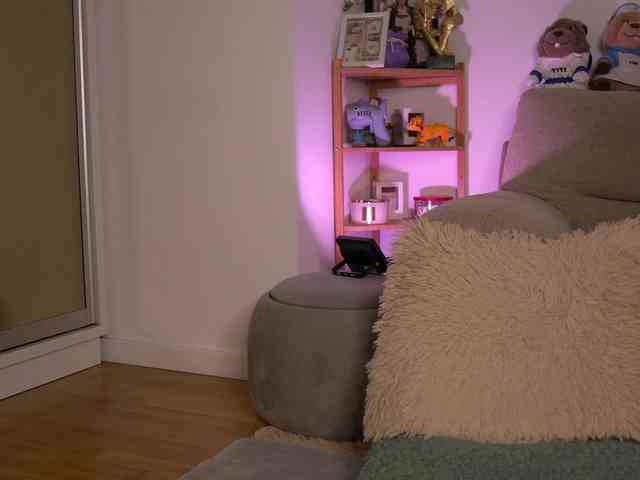 MonaLisss webcam
