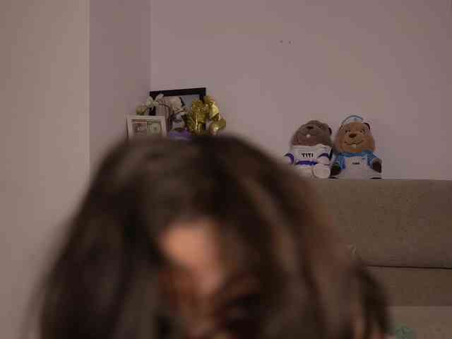 MonaLisss webcam