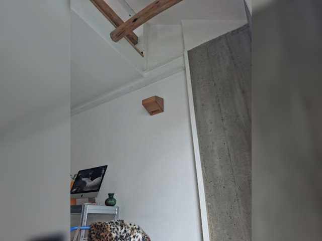 AntoniaDilune live cam on BongaCams