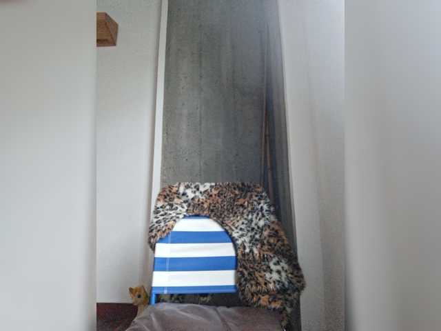 AntoniaDilune live cam on BongaCams