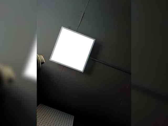 AntoniaDilune webcam