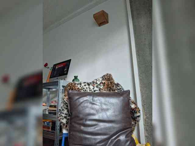 AntoniaDilune webcam