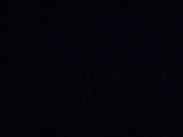 abigorvrn366