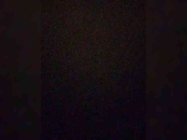 abigorvrn366
