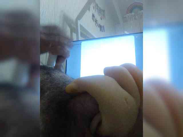 abigorvrn366