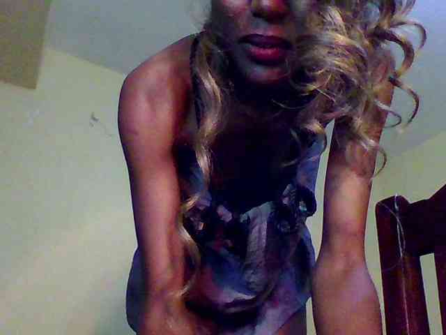 Hunnybee webcam