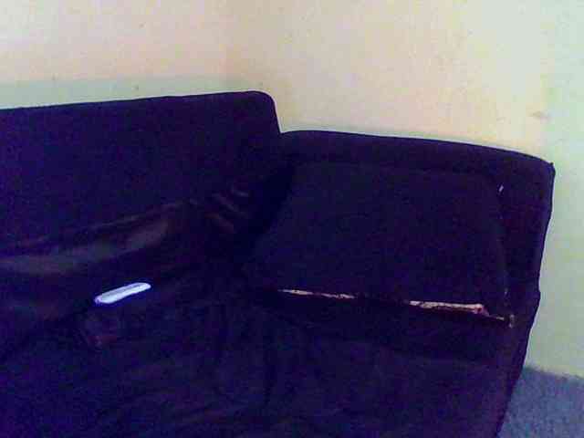 Hunnybee webcam