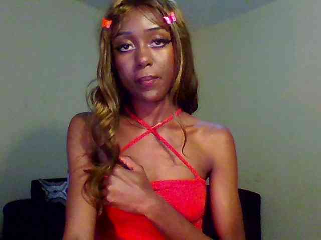 Hunnybee webcam