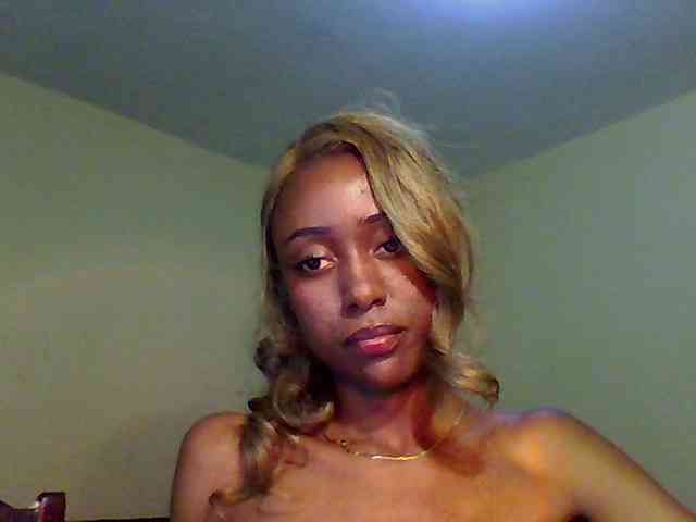 Hunnybee webcam