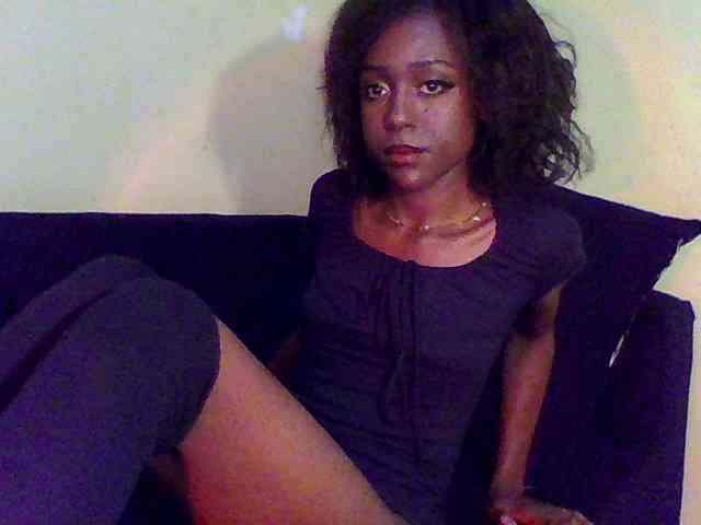 Hunnybee webcam