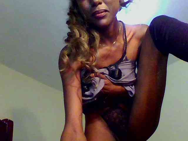 Hunnybee webcam