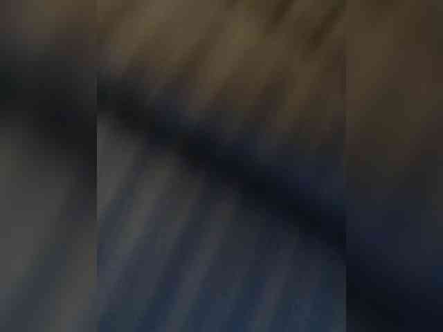 Hunnybee webcam