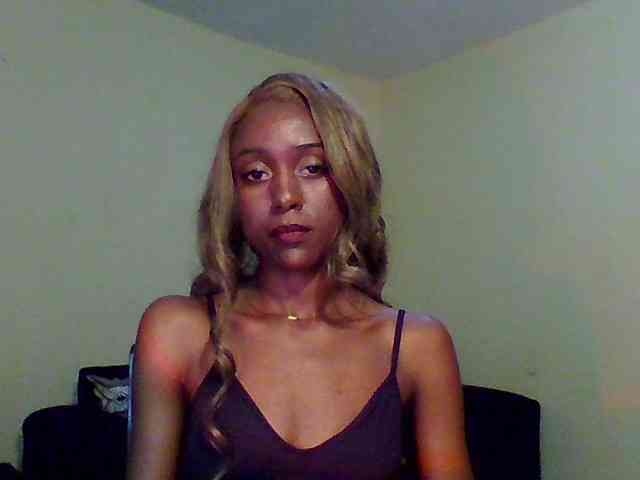 Hunnybee webcam
