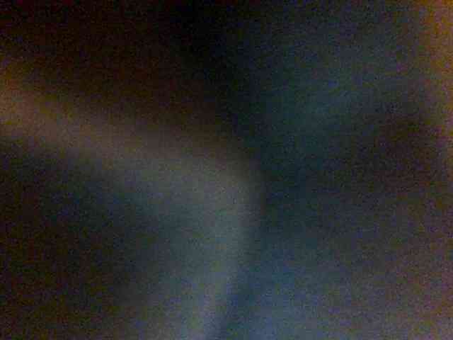 Hunnybee webcam