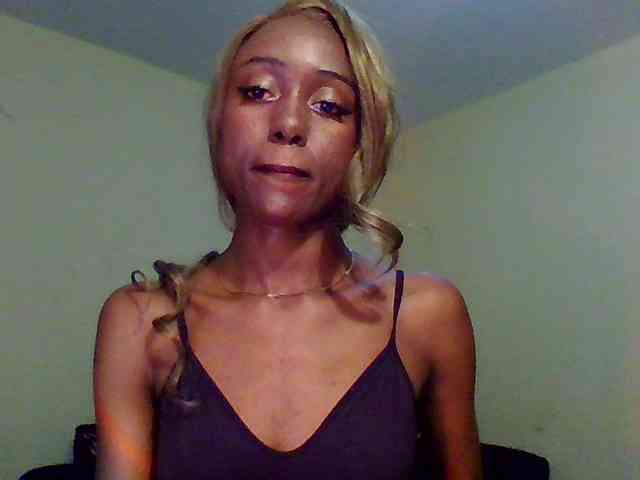 Hunnybee webcam