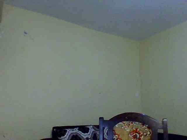 Hunnybee webcam