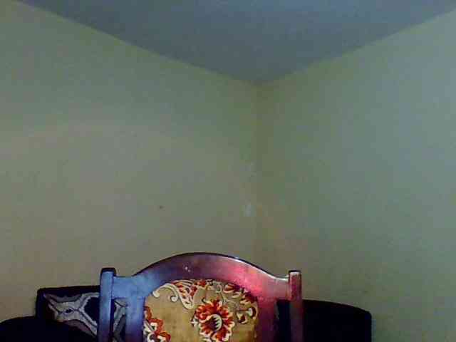 Hunnybee webcam