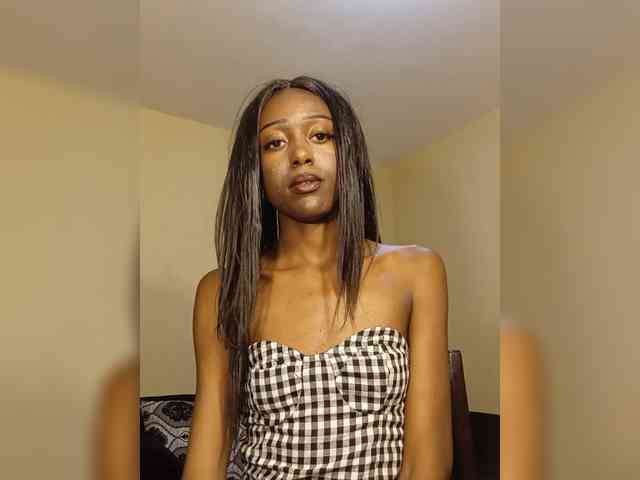 Hunnybee webcam