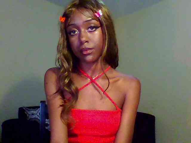 Hunnybee webcam
