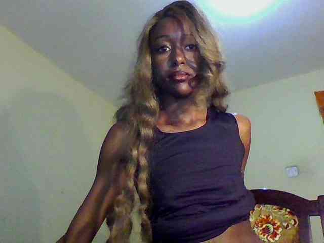 Hunnybee webcam
