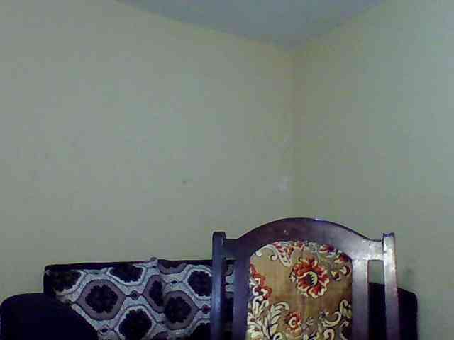 Hunnybee webcam