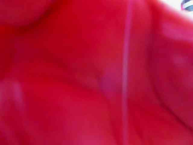 LISABROWNS webcam