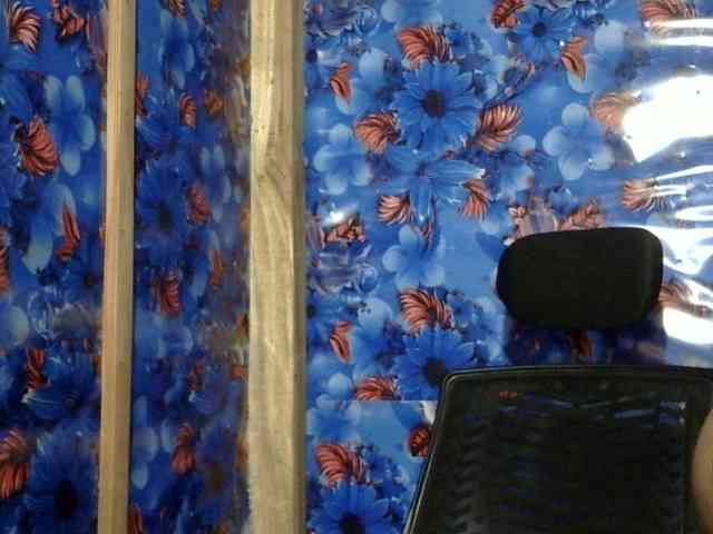 Nusrat-Mimi webcam