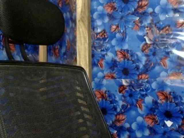 Nusrat-Mimi webcam