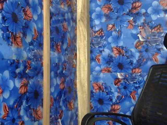Nusrat-Mimi webcam