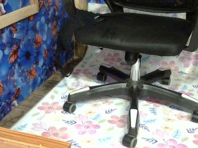 Nusrat-Mimi webcam