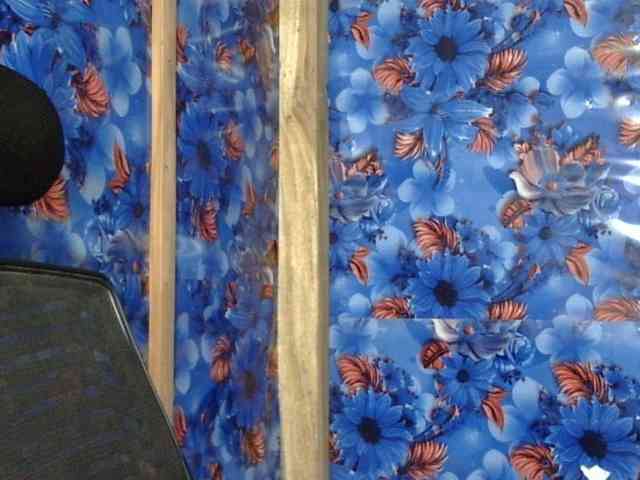 Nusrat-Mimi webcam
