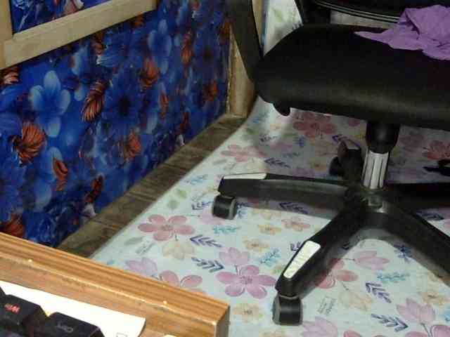 Nusrat-Mimi webcam