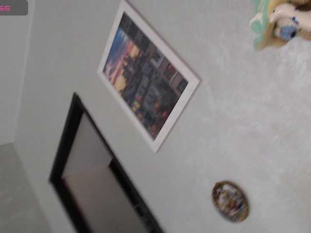 Preview of generallshef