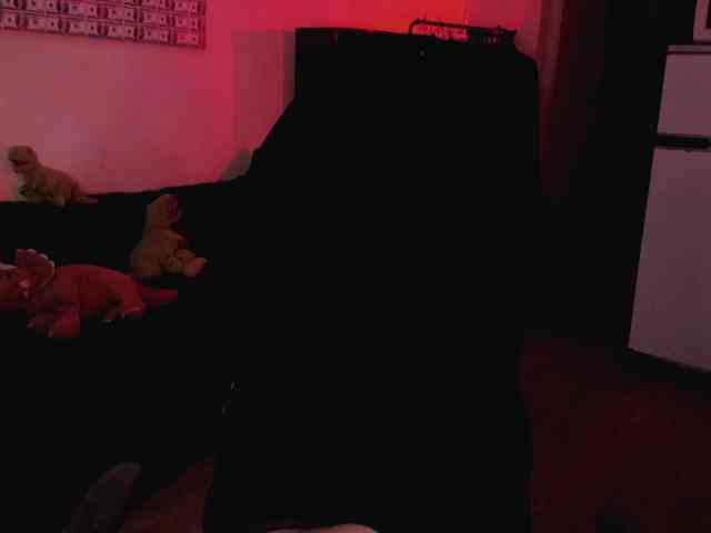 AshMila webcam